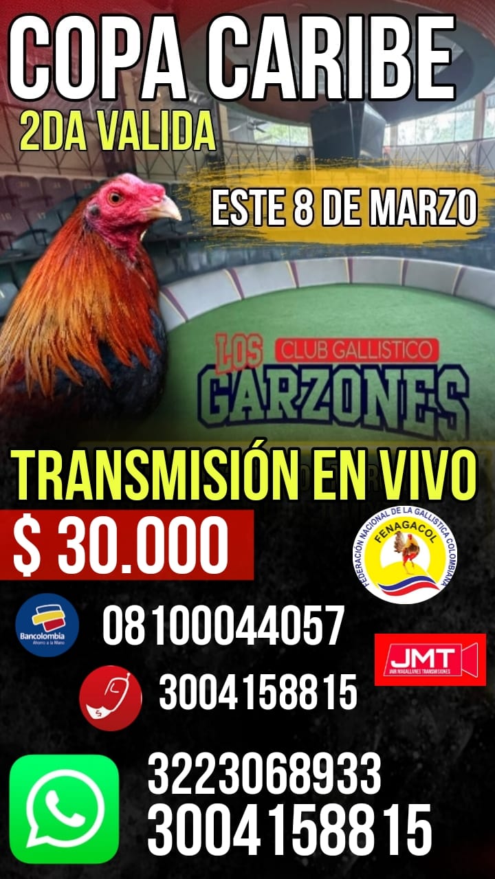 WhatsApp Image 2025-03-04 at 22.16.55