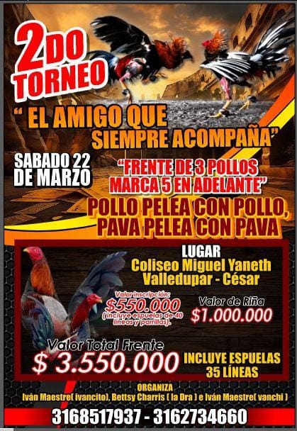 WhatsApp Image 2025-03-04 at 22.19.16 (1)